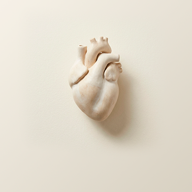 Cardiología